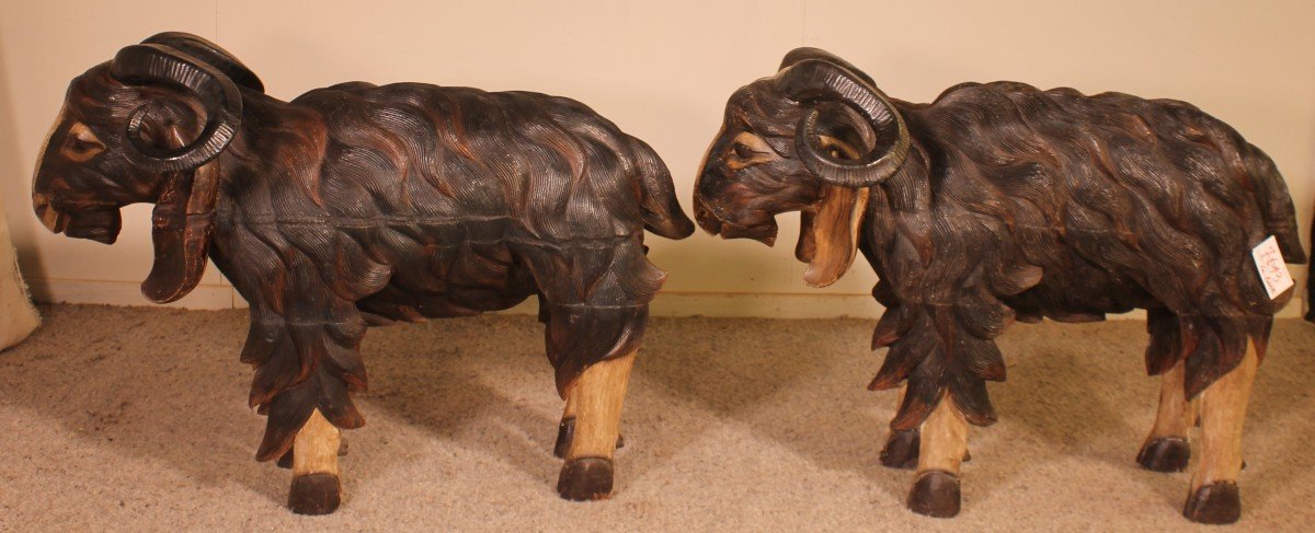 Pair Of Scottish Ram In Polychrome Wood-19 Century-photo-4