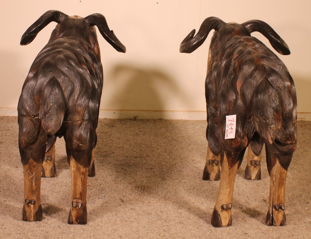 Pair Of Scottish Ram In Polychrome Wood-19 Century-photo-1