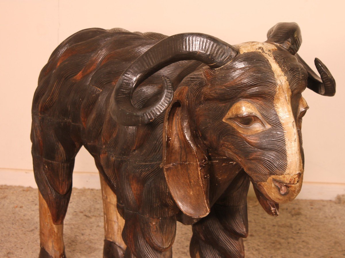 Pair Of Scottish Ram In Polychrome Wood-19 Century-photo-3