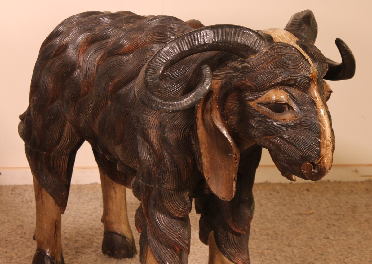 Pair Of Scottish Ram In Polychrome Wood-19 Century-photo-4