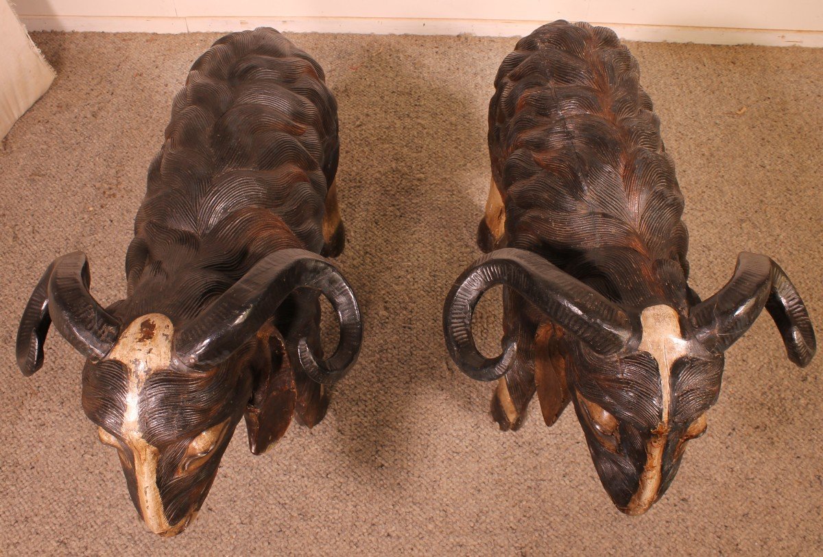 Pair Of Scottish Ram In Polychrome Wood-19 Century-photo-5