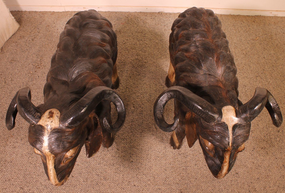 Pair Of Scottish Ram In Polychrome Wood-19 Century-photo-5