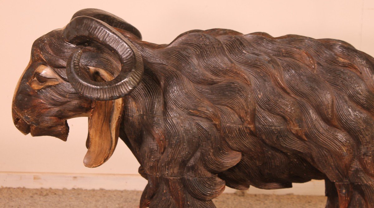 Scottish Ram In Polychrome Wood-19 Century-photo-3