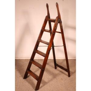 19th-century Library Ladder