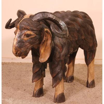 Scottish Ram In Polychrome Wood-19 Century