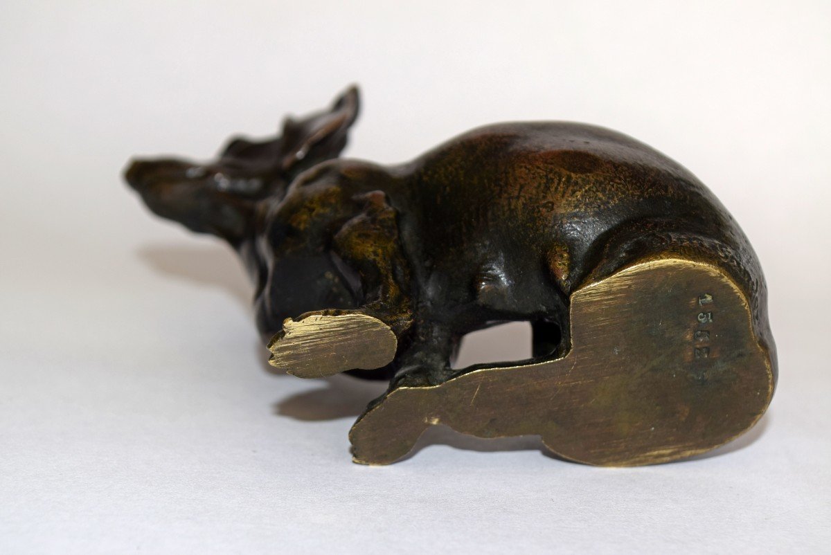 Bronze Dachshund By Edouard-marcel Sandoz-photo-4