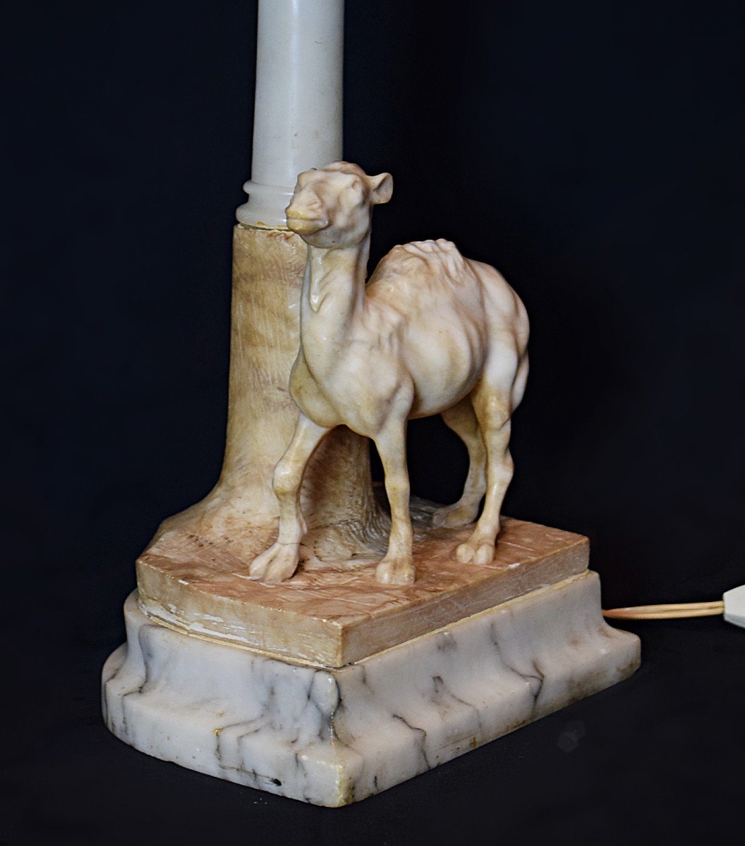 Dromedary Lamp Marble And Alabaster Orientalist Early 20th Century-photo-1