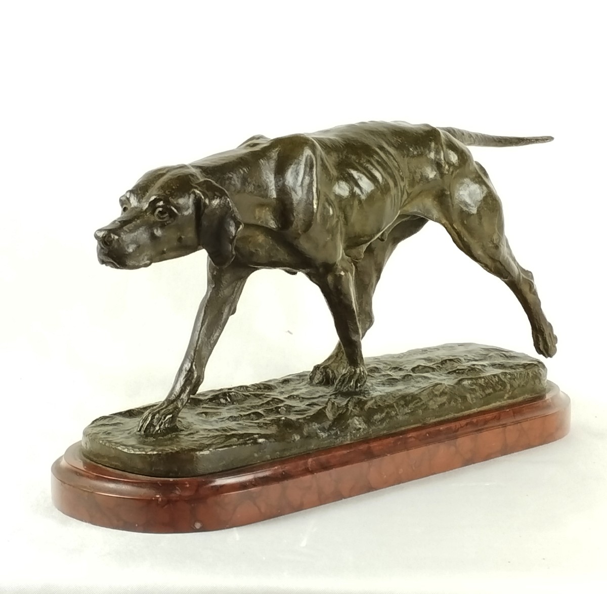 Chien d'arrêt Bronze par Eugène de Gaspary fin XIXème-photo-3