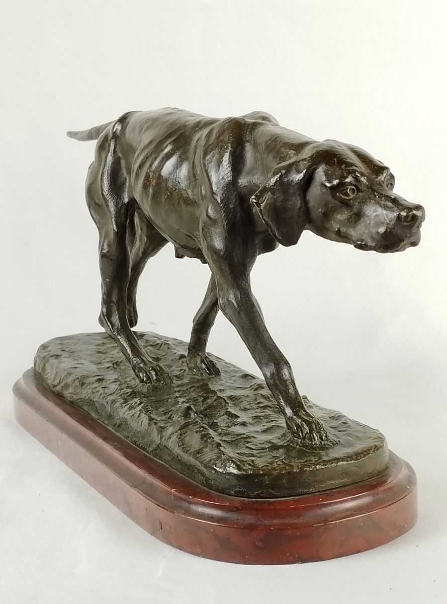 Chien d'arrêt Bronze par Eugène de Gaspary fin XIXème-photo-4