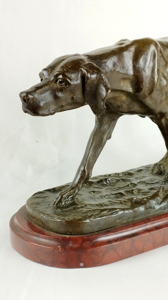 Chien d'arrêt Bronze par Eugène de Gaspary fin XIXème-photo-2