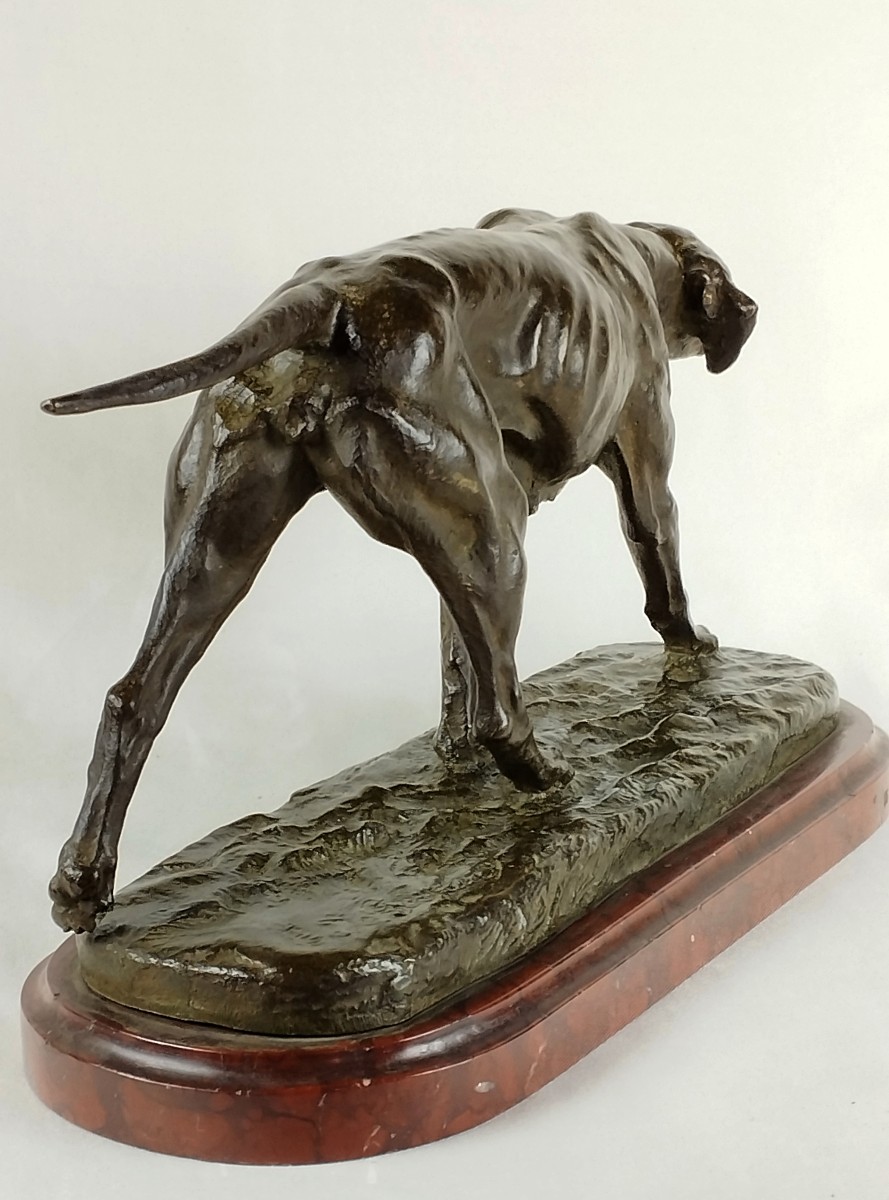 Chien d'arrêt Bronze par Eugène de Gaspary fin XIXème-photo-6