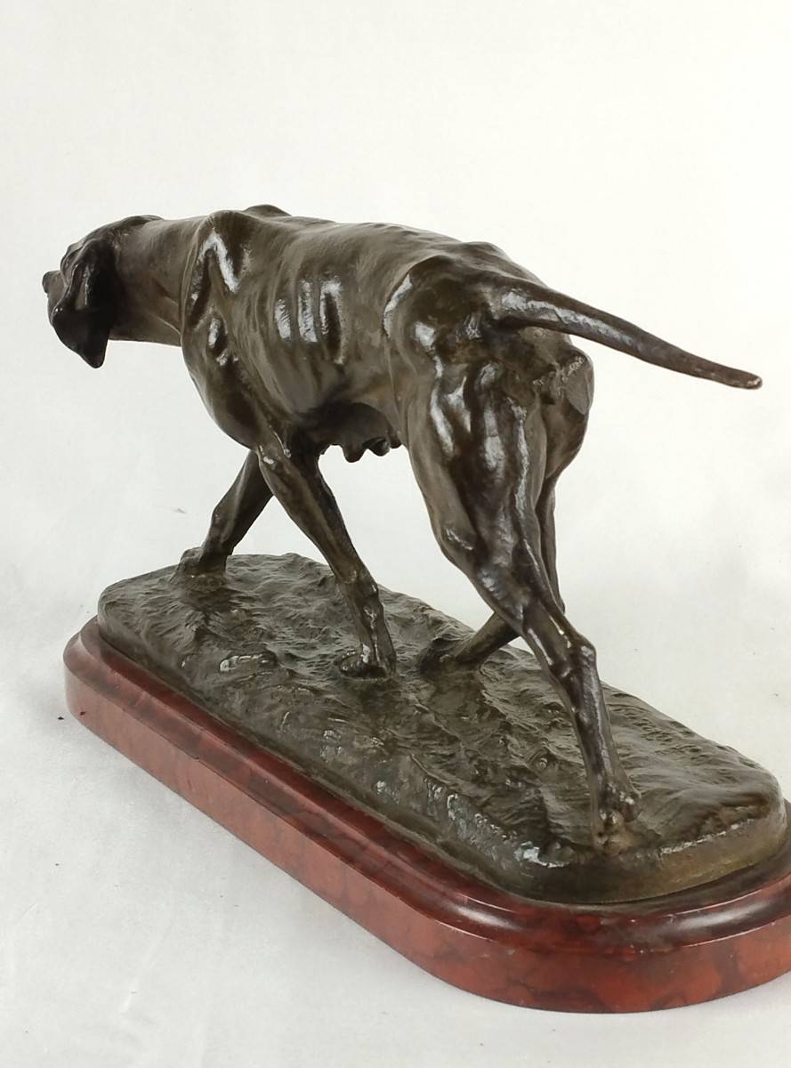 Chien d'arrêt Bronze par Eugène de Gaspary fin XIXème-photo-7