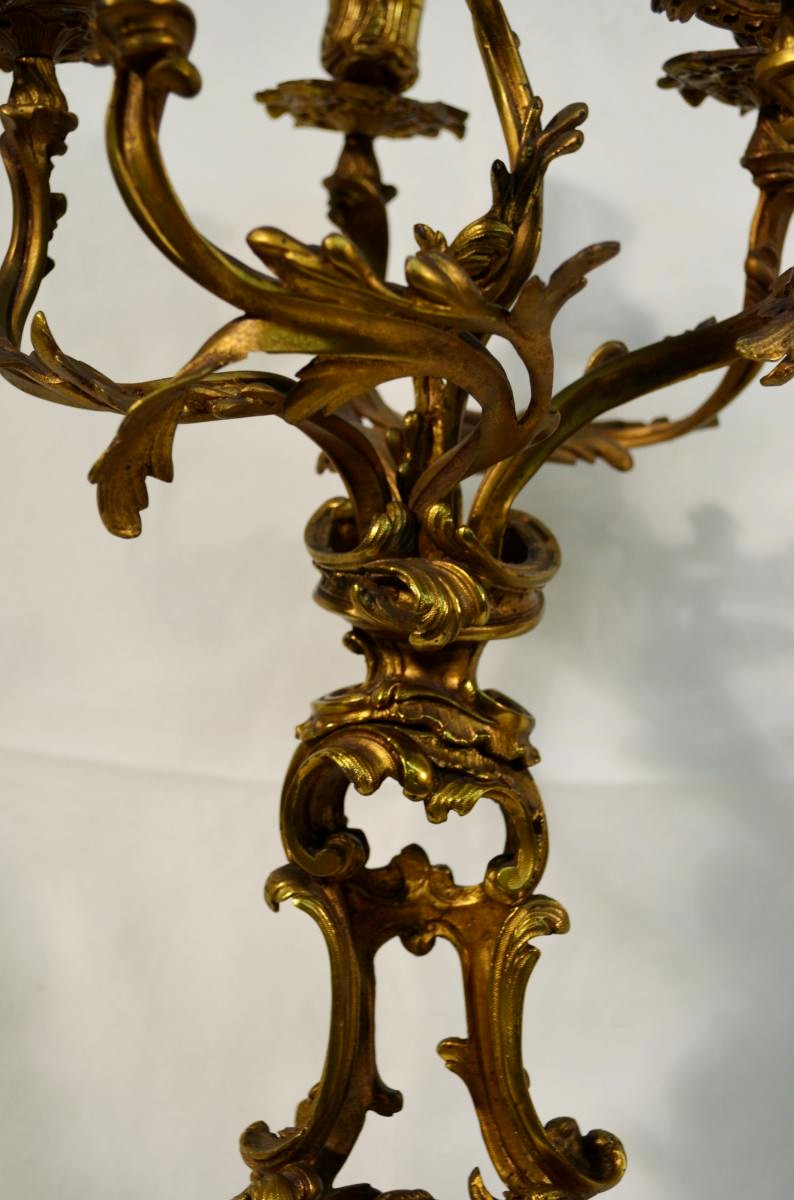 Large Pair Of Candlesticks Gilt Bronze Louis XV Style Candelabra Nineteenth-photo-4