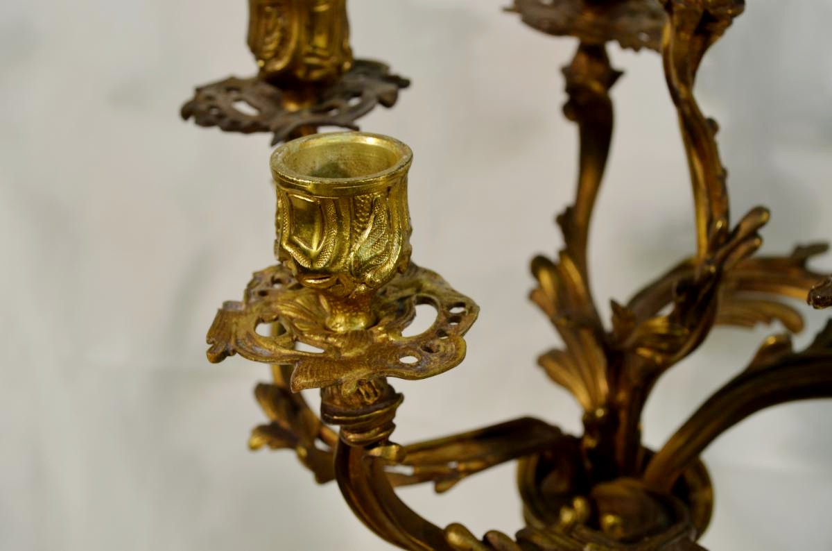 Large Pair Of Candlesticks Gilt Bronze Louis XV Style Candelabra Nineteenth-photo-5