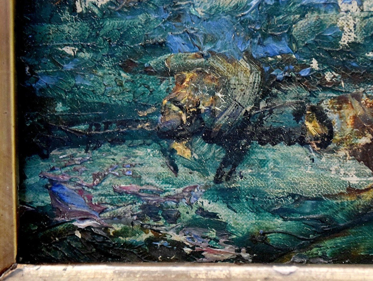 Les Bourdigues In Martigues By Jb Duffaud-photo-4