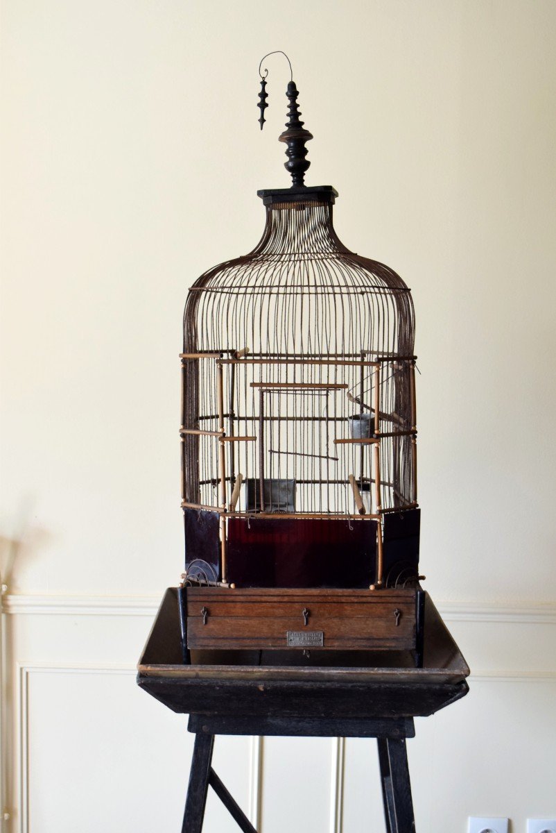 Cage &agrave; oiseaux ou perroquet XIX&egrave;me Maison Vaccini Paris-photo-2