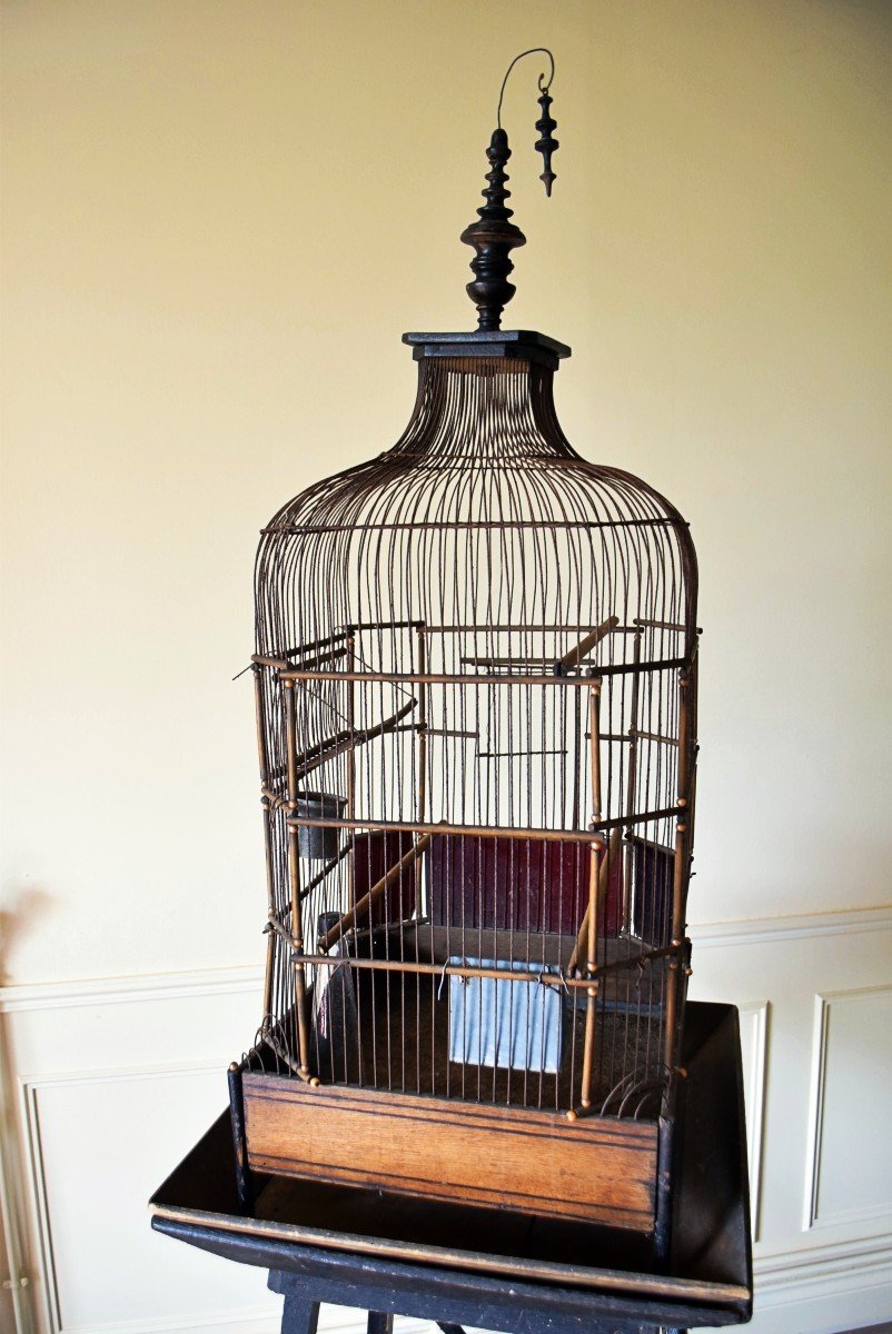 Cage &agrave; oiseaux ou perroquet XIX&egrave;me Maison Vaccini Paris-photo-3
