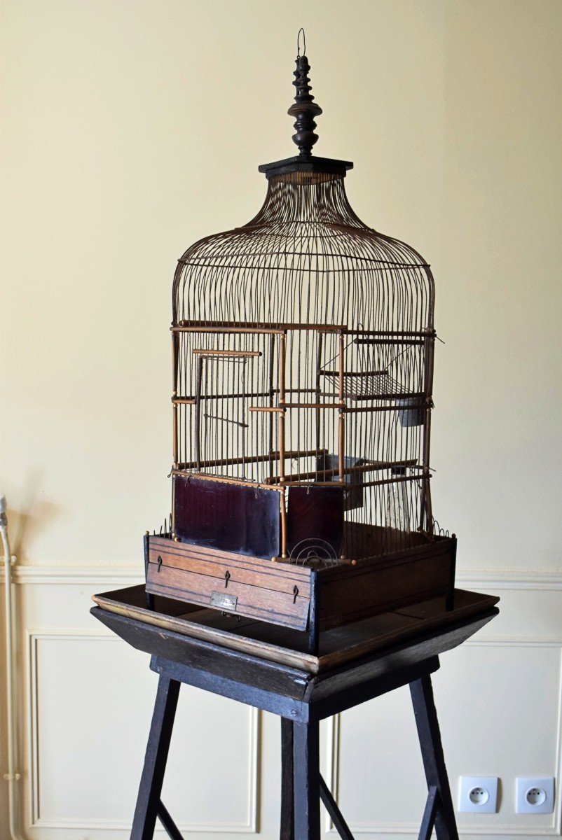 Cage &agrave; oiseaux ou perroquet XIX&egrave;me Maison Vaccini Paris-photo-1