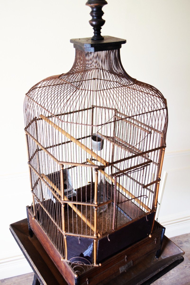 Cage &agrave; oiseaux ou perroquet XIX&egrave;me Maison Vaccini Paris-photo-5