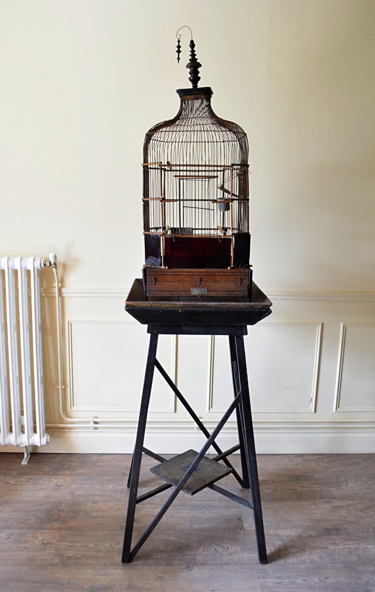 Cage &agrave; oiseaux ou perroquet XIX&egrave;me Maison Vaccini Paris-photo-7