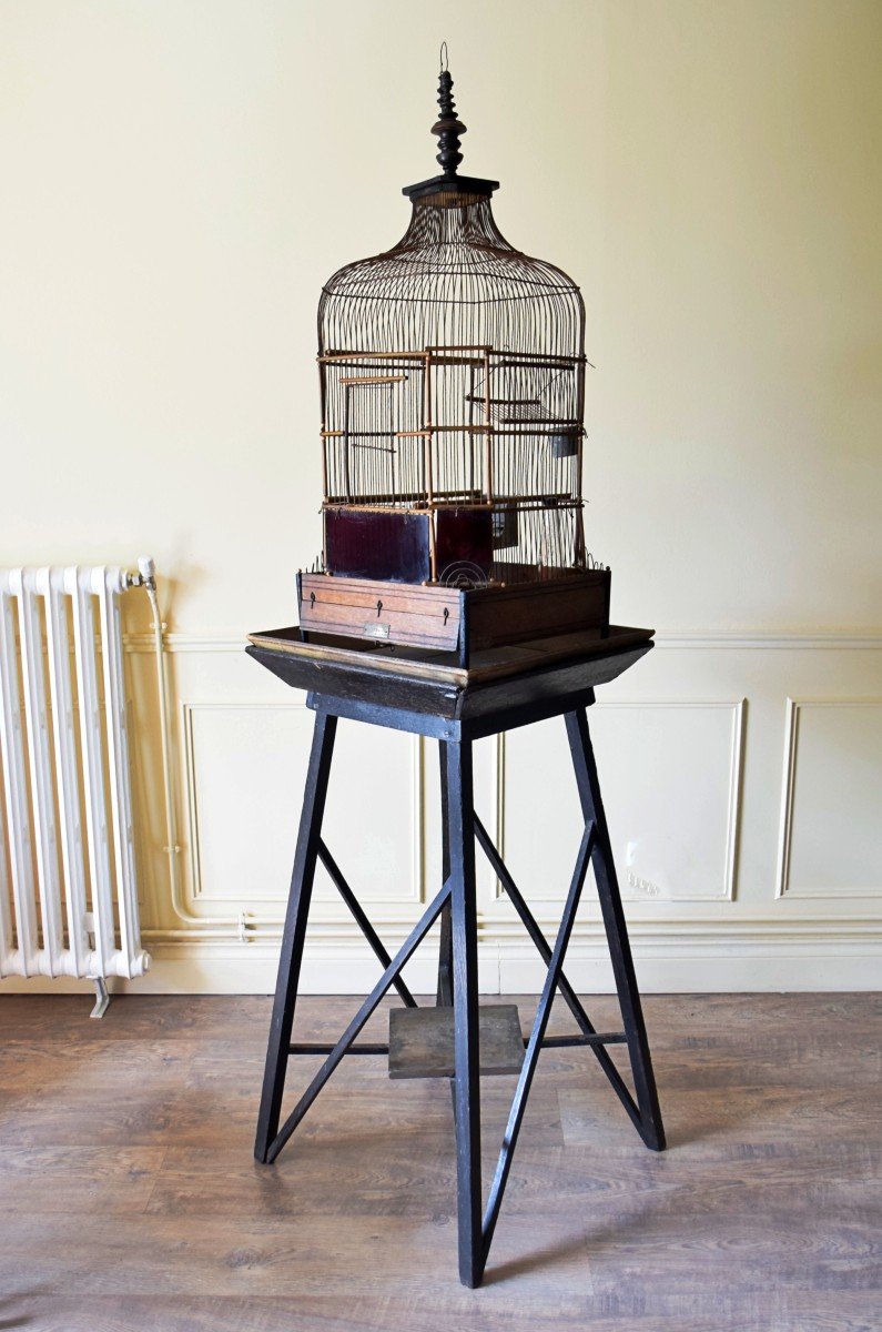 Cage &agrave; oiseaux ou perroquet XIX&egrave;me Maison Vaccini Paris
