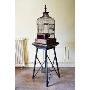 19th Century Bird Or Parrot Cage Maison Vaccini Paris