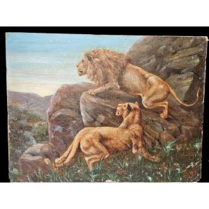Foreign School Early 20th Century Lion And Lioness