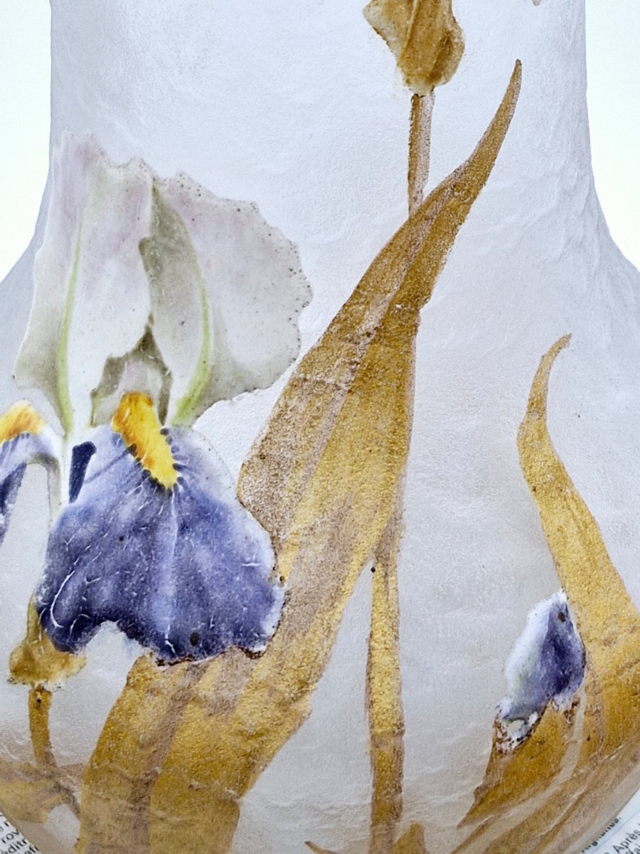 Legras Montjoye Vase With Iris Decor, Acid-etched Glass, Enhanced With Art Nouveau Enamel-photo-4