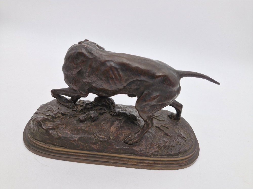 Bronze "chien Braque"  Pierre-Jules Mêne fin XIXe patine brune -photo-3