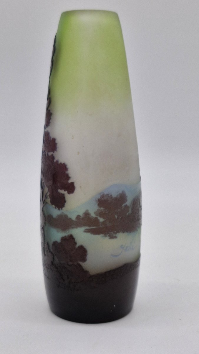 Gallé Vase With Vosges Motif -photo-2
