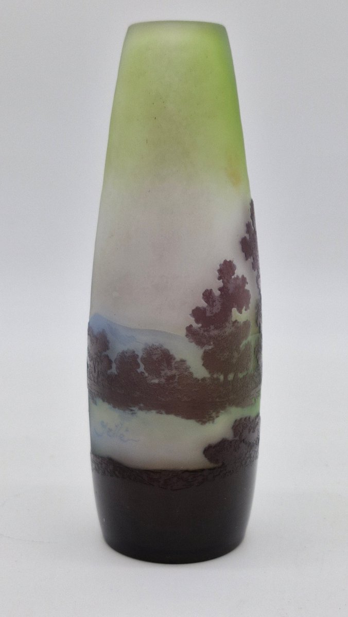 Gallé Vase With Vosges Motif -photo-3
