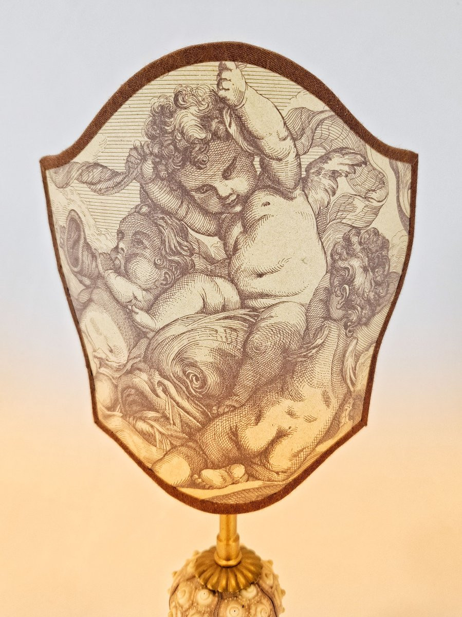 Table Lamp In The Style Of A Cabinet Of Curiosities – Sea Urchins & Cherub Engraving After Boucher, 19th Century-photo-2
