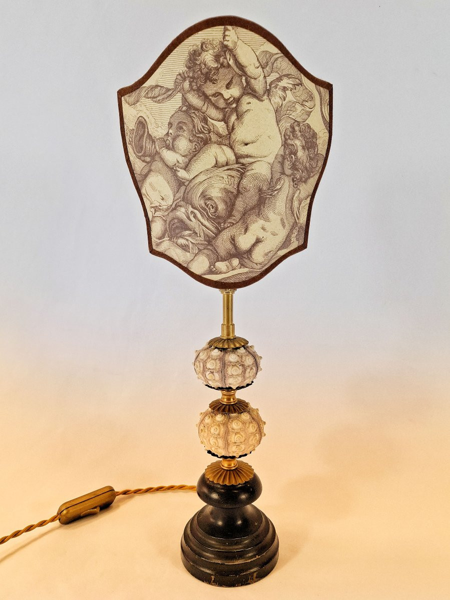 Table Lamp In The Style Of A Cabinet Of Curiosities – Sea Urchins & Cherub Engraving After Boucher, 19th Century-photo-3