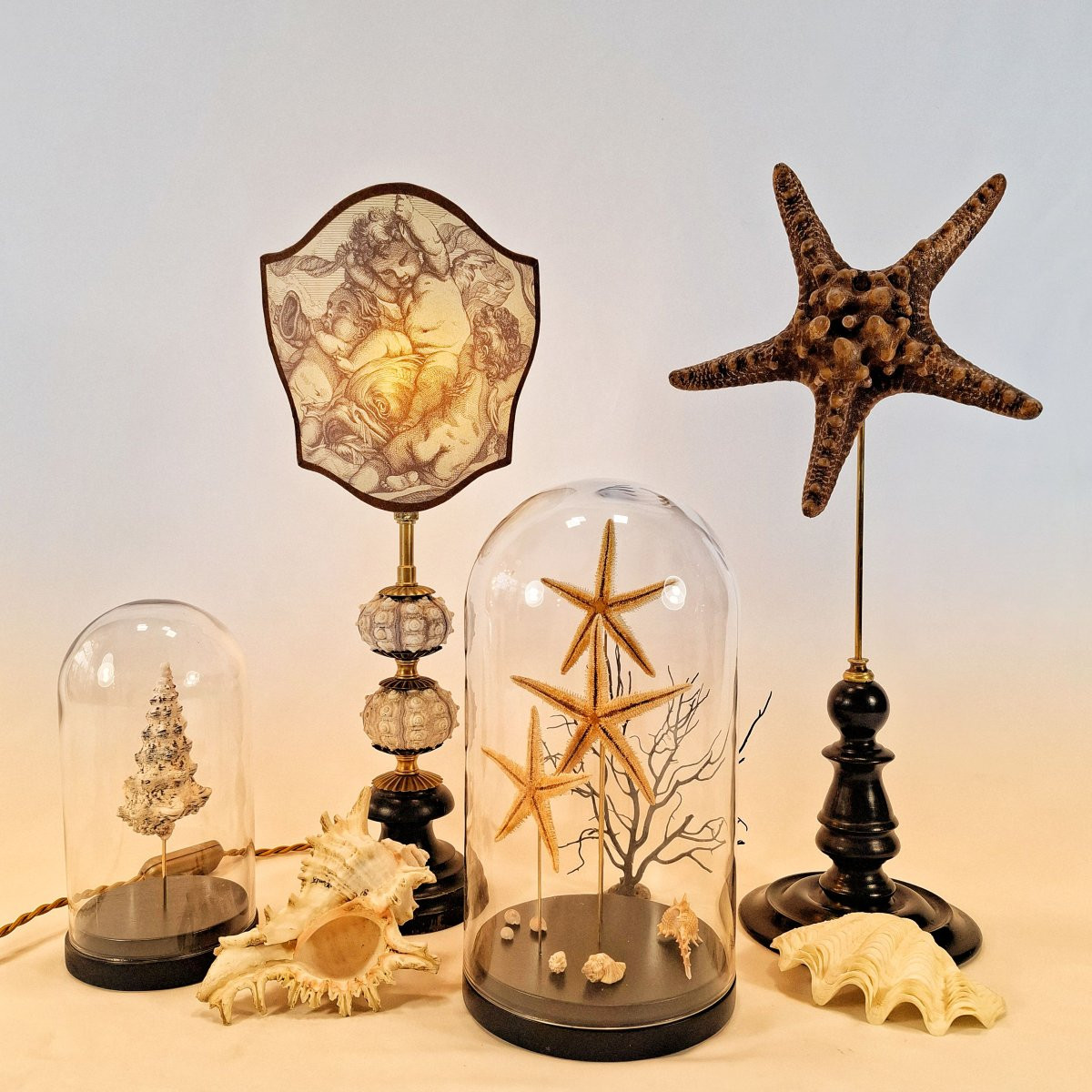 Table Lamp In The Style Of A Cabinet Of Curiosities – Sea Urchins & Cherub Engraving After Boucher, 19th Century-photo-4