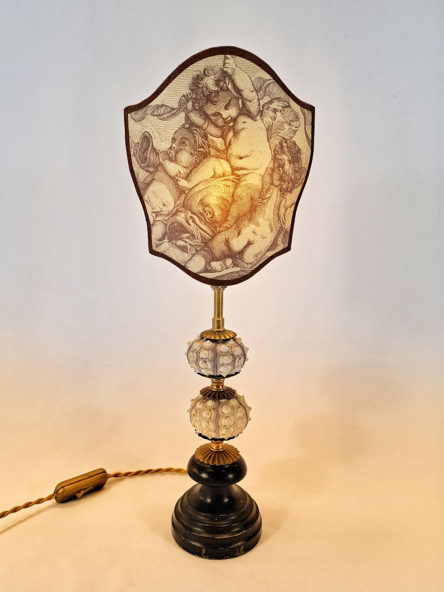 Table Lamp In The Style Of A Cabinet Of Curiosities – Sea Urchins & Cherub Engraving After Boucher, 19th Century