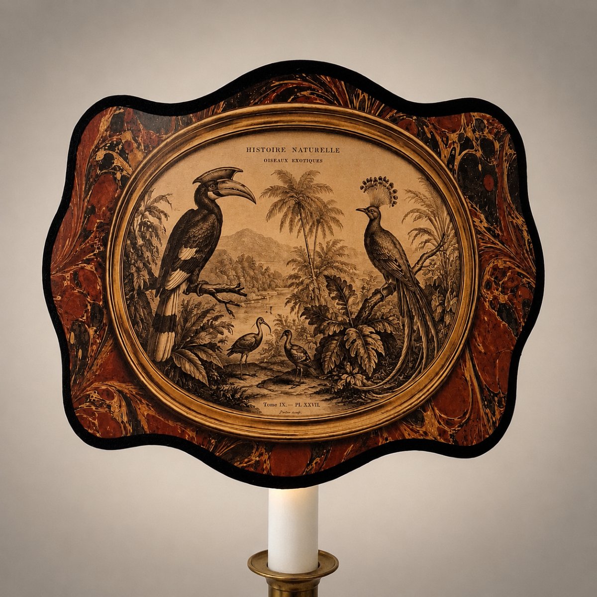 Lampe de cabinet de curiosités, écran "Audubon" oiseaux exotiques, 1910, bronze style Louis XVI-photo-2