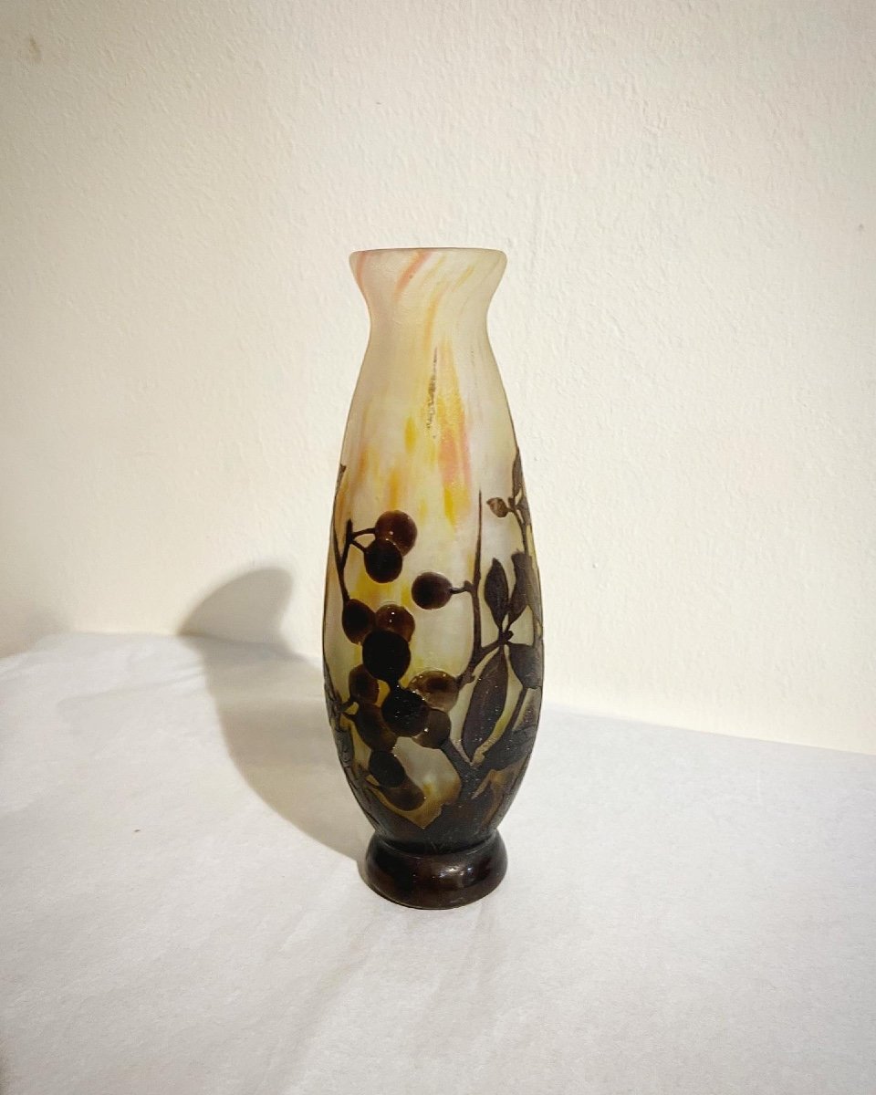 Art Nouveau Daum Nancy Vase ( Plaquettes)