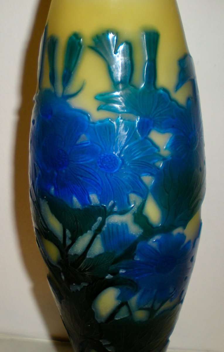Cinéraire- Vase  Gallè Art Nouveau-photo-4