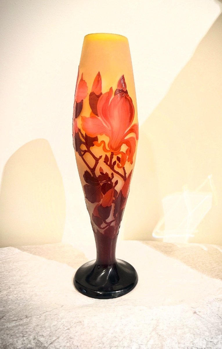 Magnolia - Vase Art Nouveau Gallè-photo-1