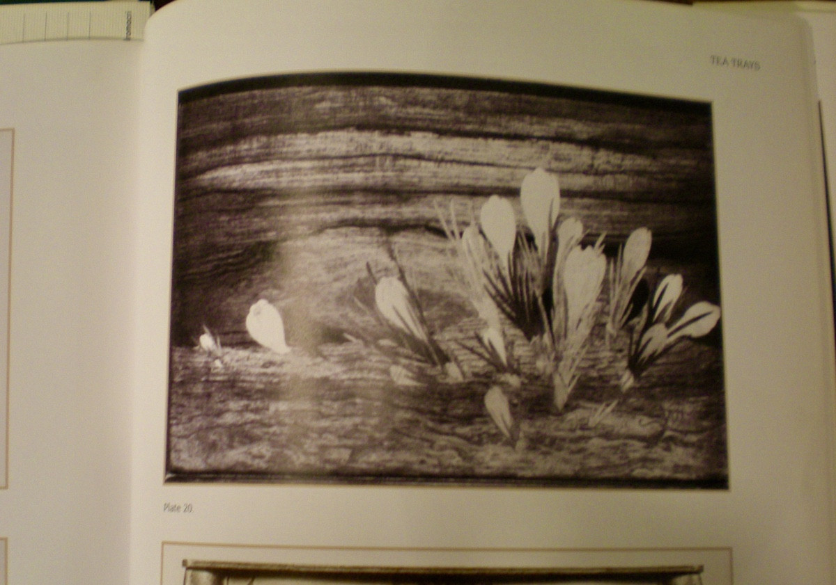 Crocus - Plateau art  nouveau Gallé-photo-3