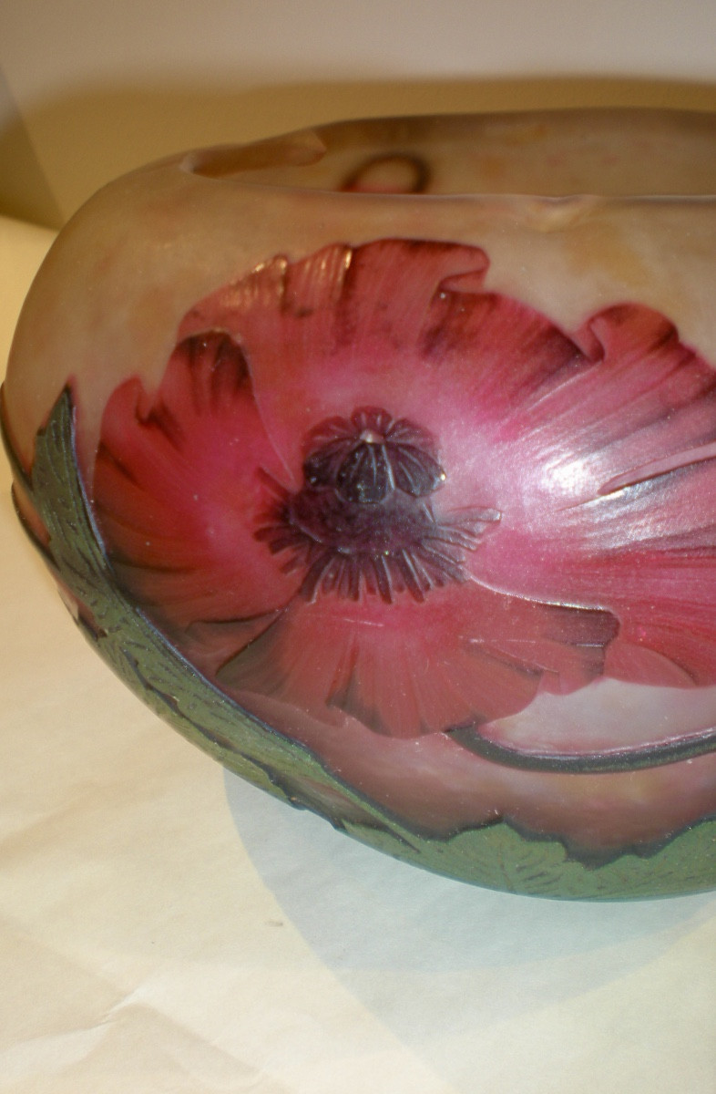 Pavots  - Coupe Daum Nancy art nouveau-photo-3