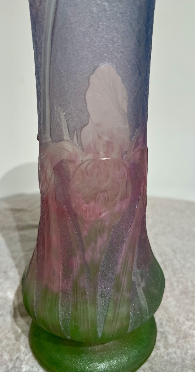Iris - Art Nouveau Daum Nancy Vase -photo-2