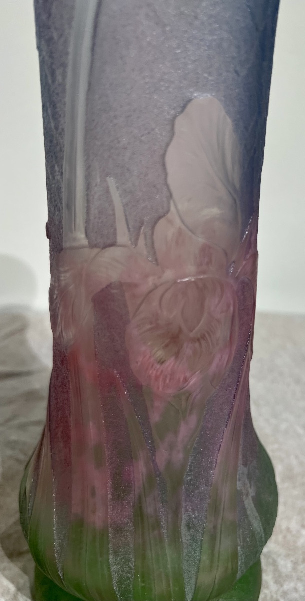 Iris - Art Nouveau Daum Nancy Vase -photo-3