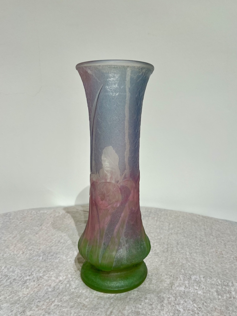 Iris - Art Nouveau Daum Nancy Vase -photo-2