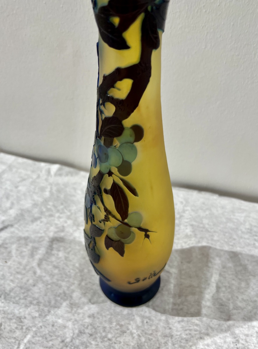 Prunelles - Vase Gallé art nouveau-photo-2