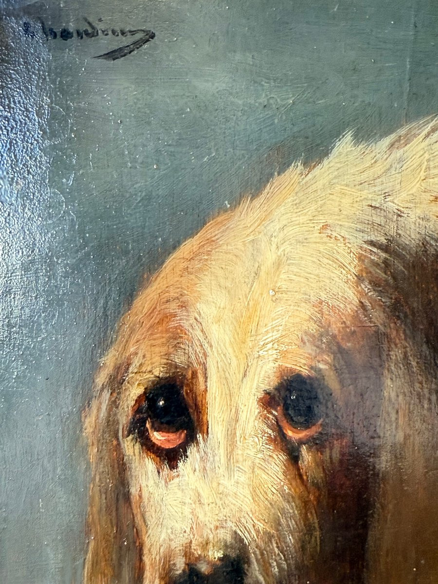 Tête de chien - Huile sur panneau signée de Paul Louis Léger CHARDIN 1833-1918 Ecole française-photo-3
