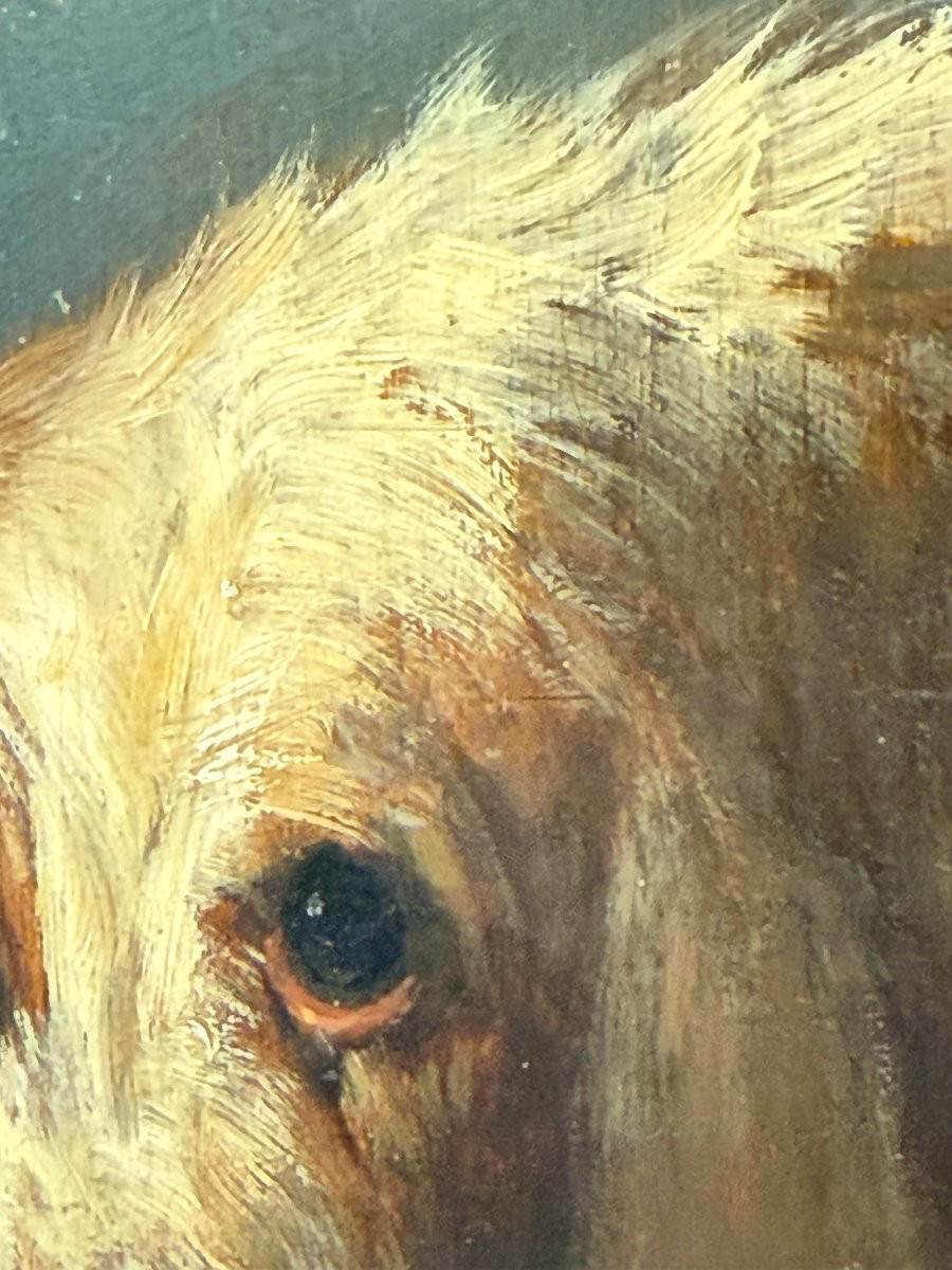 Tête de chien - Huile sur panneau signée de Paul Louis Léger CHARDIN 1833-1918 Ecole française-photo-4