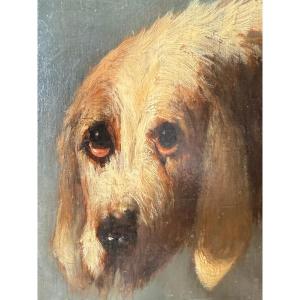 Tête de chien - Huile sur panneau signée de Paul Louis Léger CHARDIN 1833-1918 Ecole française