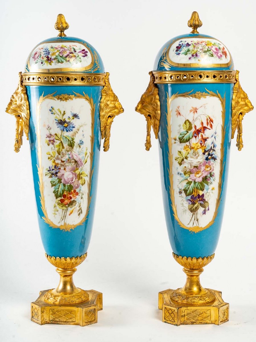 Paire De Vases En Porcelaine De Sèvres Fin XIXème Siècle -photo-3