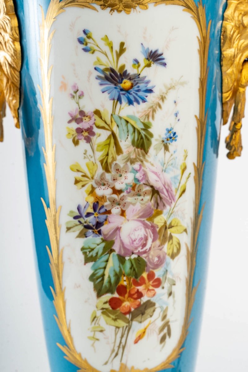 Paire De Vases En Porcelaine De Sèvres Fin XIXème Siècle -photo-5